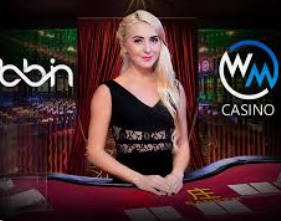 熊猫体育下载最新版